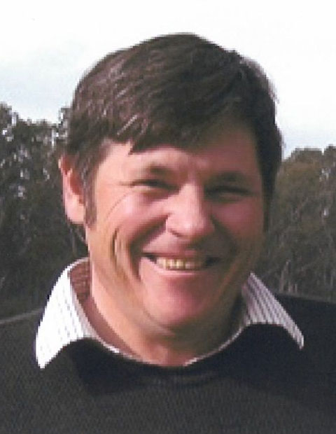 Murray Grey Society Australia Bulls For Sale Worldwide