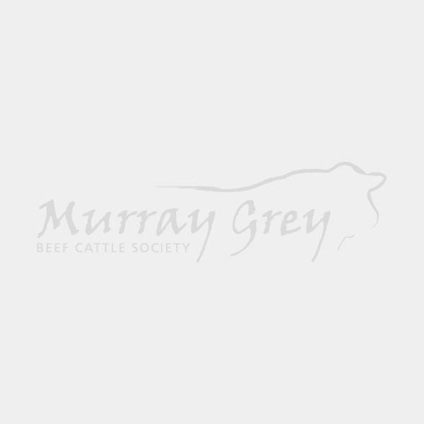 Pacan Murray Grey Stud