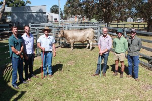 13000 Melaleuca top-1