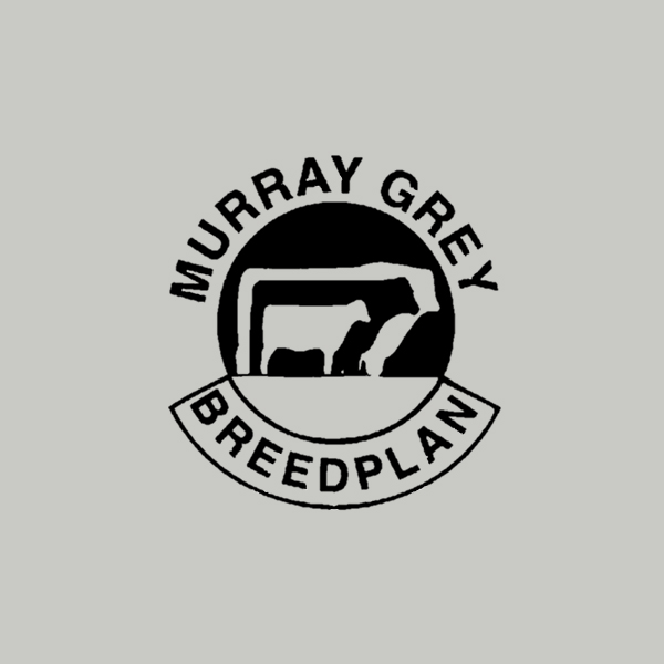 Murray Grey Breedplan logo
