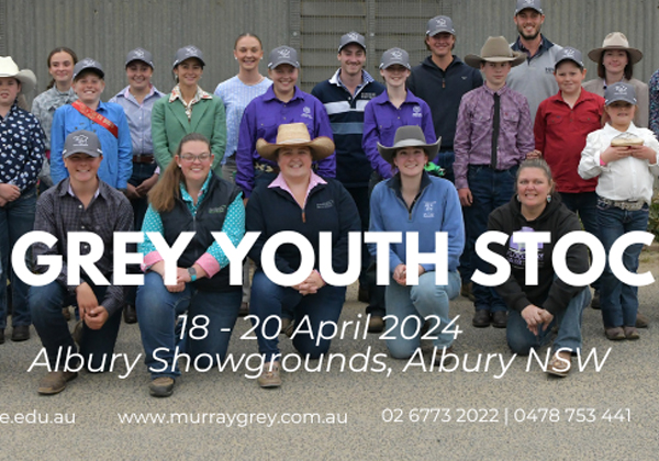 Murray-grey-youth-stock-photos