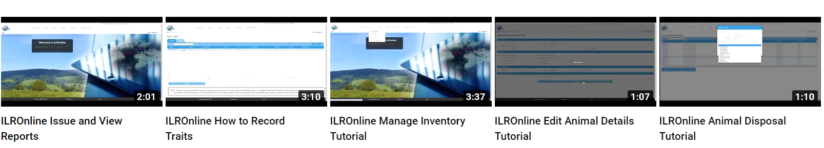 Ilrorline-support-graphic