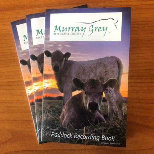 Murray-grey-paddock-recording-books