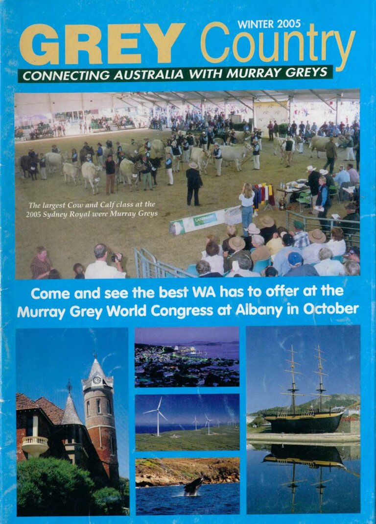 Grey Country - 2005 Winter