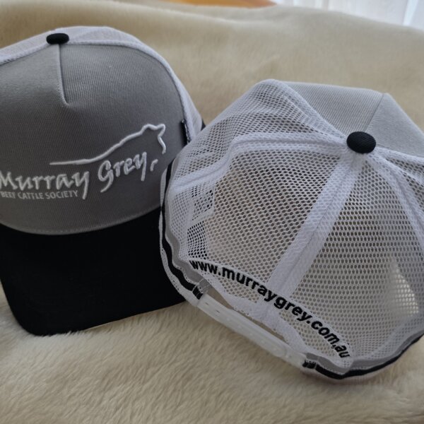 Grey Murray Grey Caps