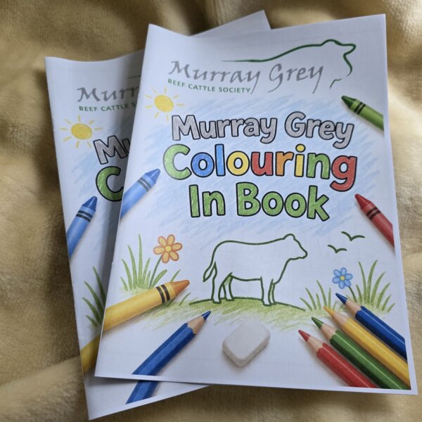 Murray Gey Colouring Book Front