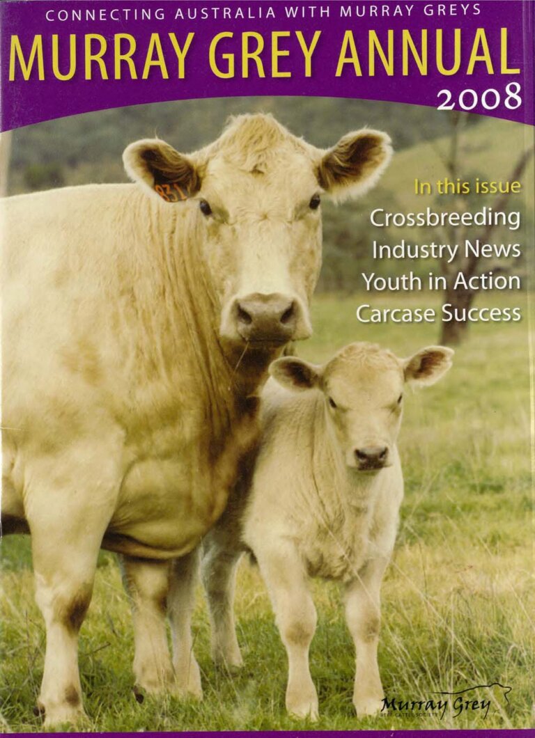 Murray Grey Annual - 2008