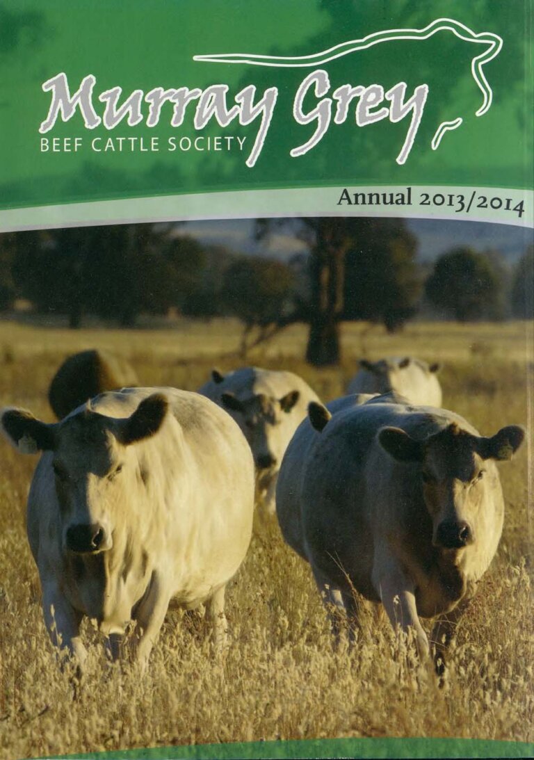 Murray Grey Annual - 2013-14