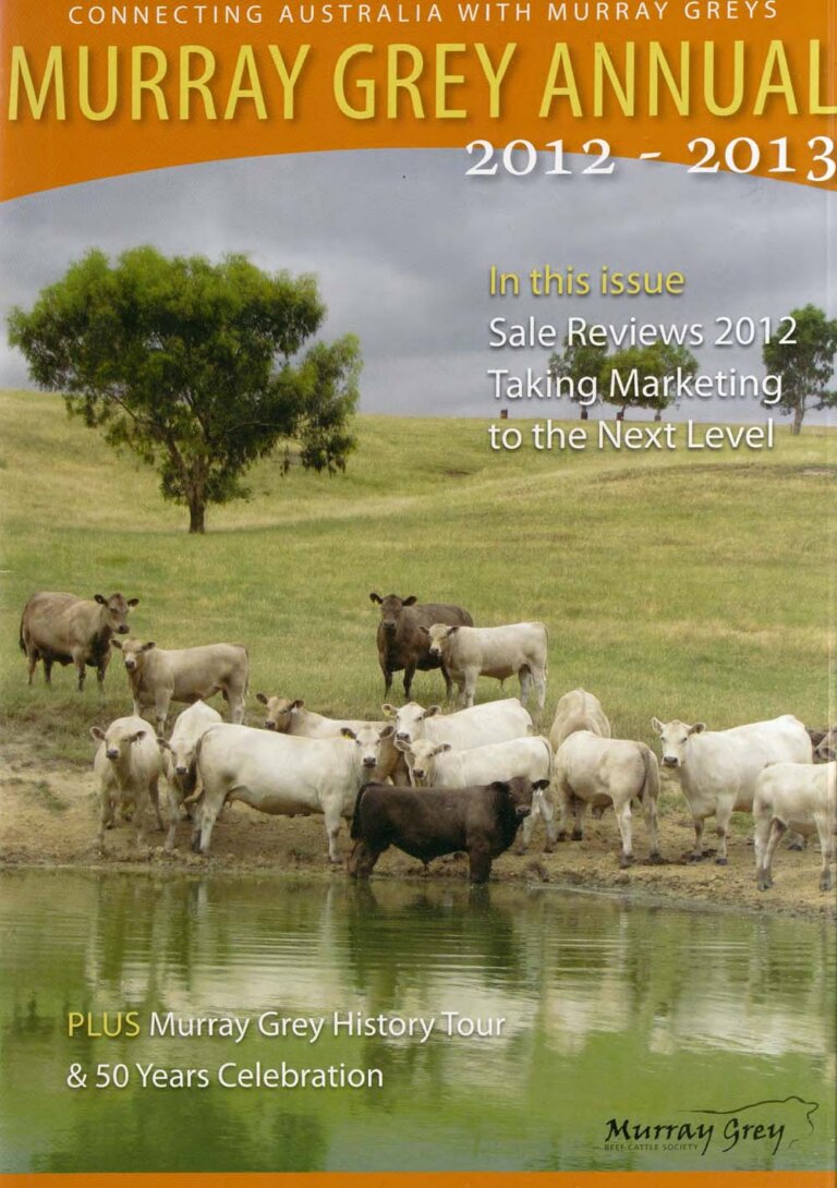 Murray Grey Annual - 2012-13