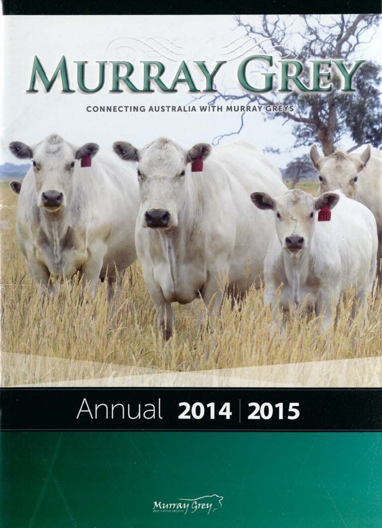 Murray Grey Annual - 2014-15