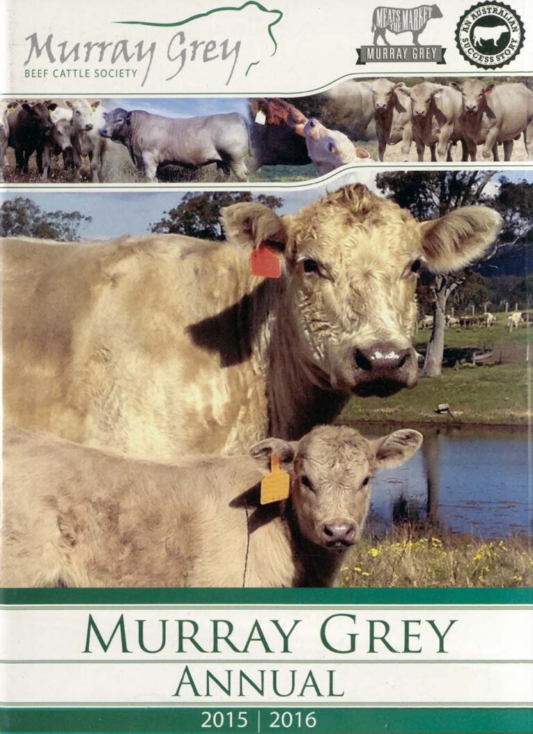 Murray Grey Annual - 2015-16