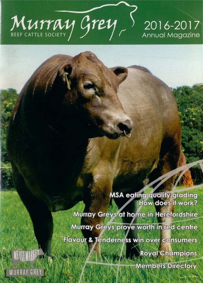 Murray Grey Annual - 2016-2017