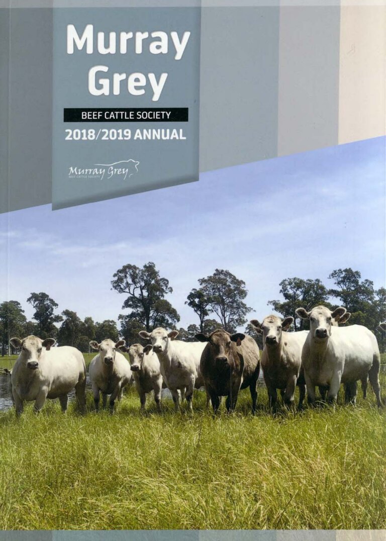 Murray Grey Annual - 2018-19