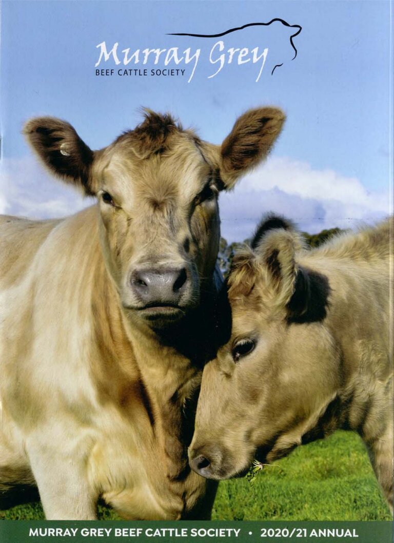 Murray Grey Annual - 2020-21