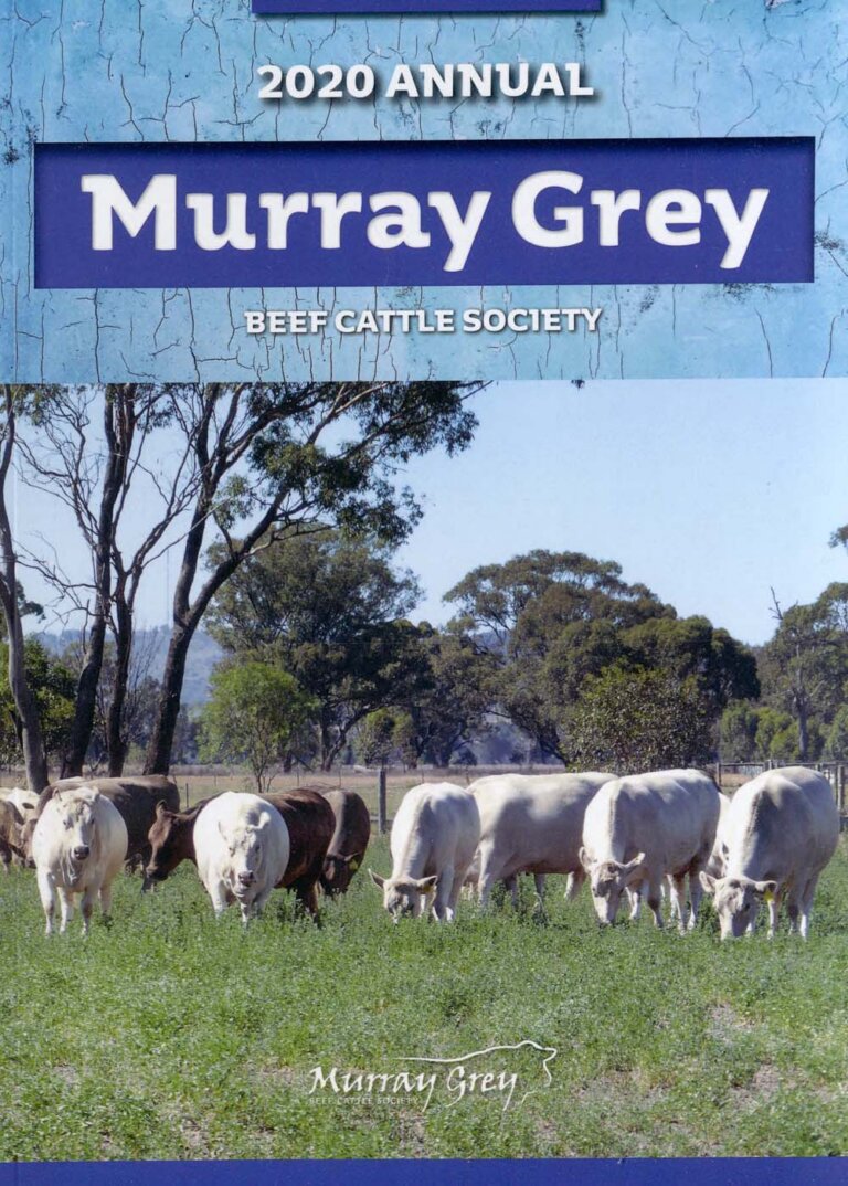 Murray Grey Annual - 2020
