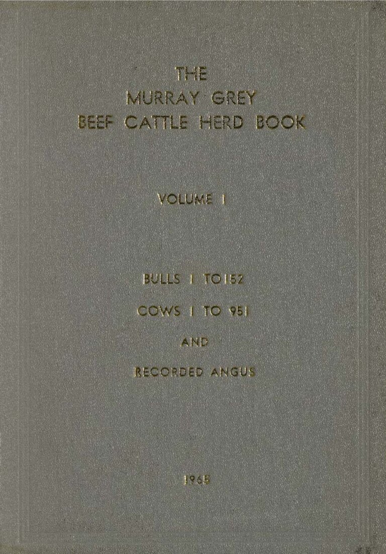 Murray Grey Beef Cattle Herd - Vol 1 1965