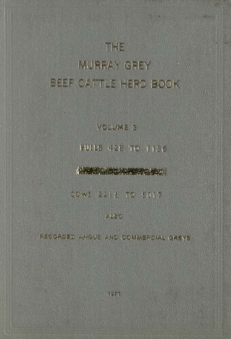 Murray Grey Beef Cattle Herd - Vol 3 1971