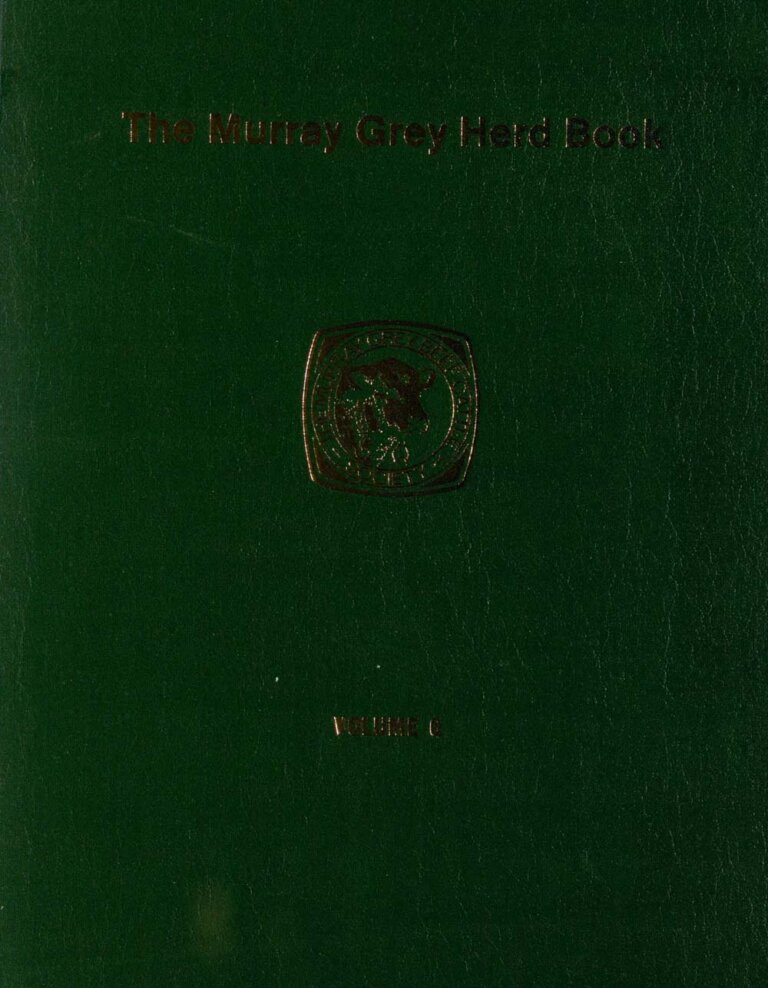 Murray Grey Beef Cattle Herd - Vol 6