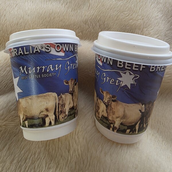 Murray Grey Paper Cups