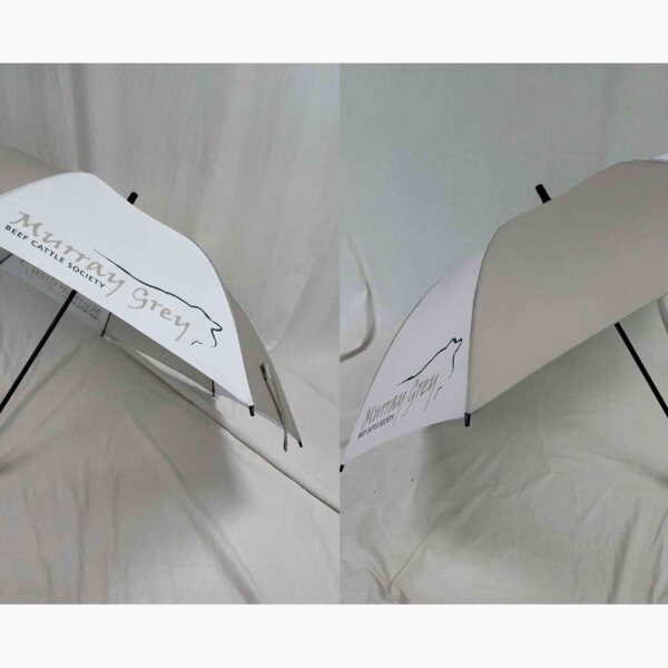 Murray Grey Umbrella