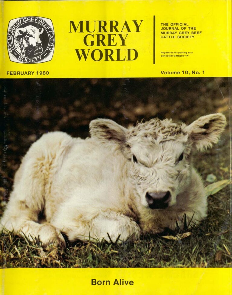 Murray Grey World - Vol 10 No.1 Feb 1981