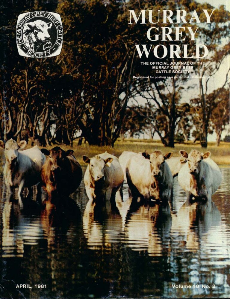 Murray Grey World - Vol 10 No.2 Apr 1981
