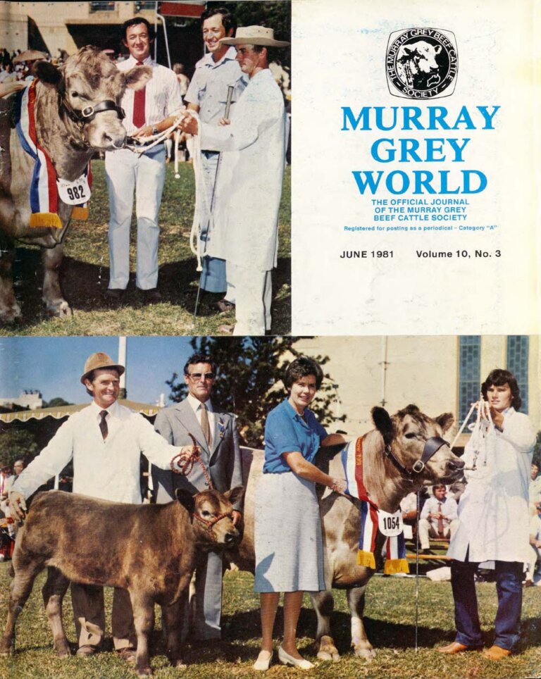 Murray Grey World - Vol 10 No.3 Jun 1981