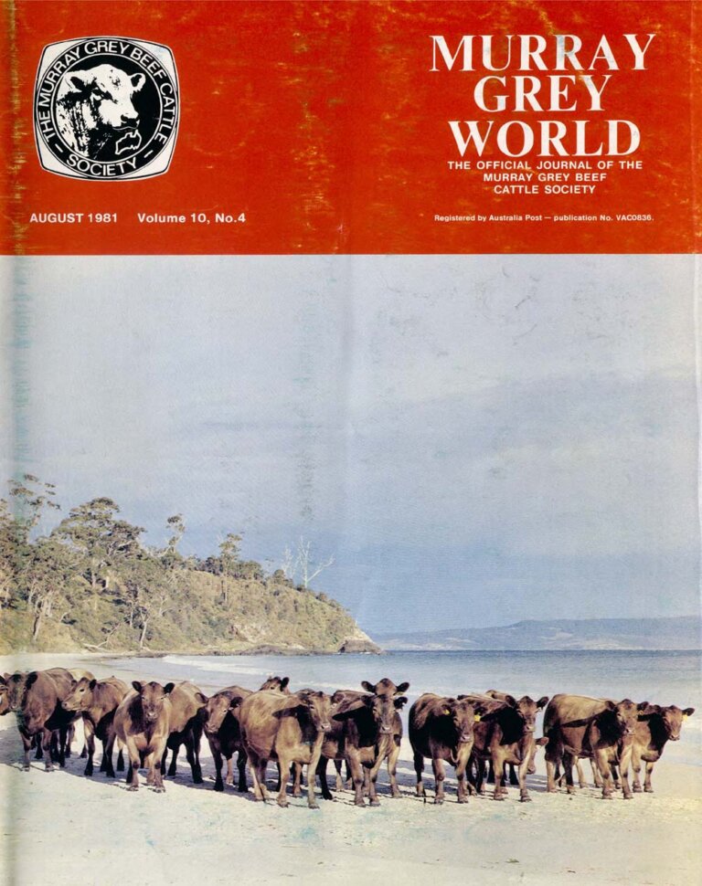 Murray Grey World - Vol 10 No.4 Aug 1981