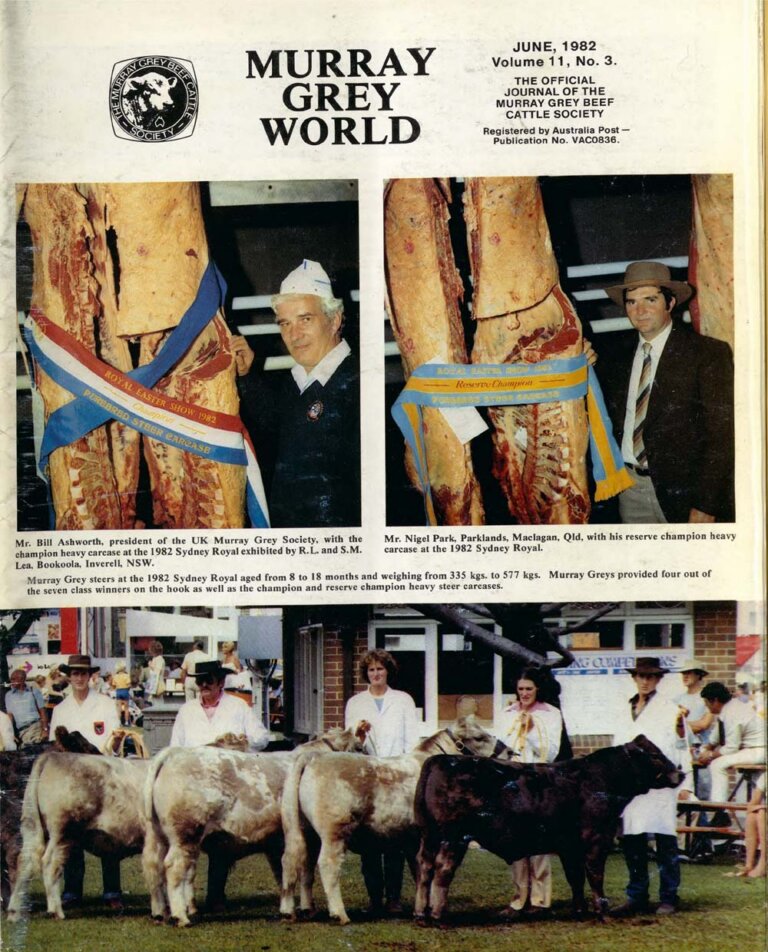 Murray Grey World - Vol 11 No.3 Jun 1982