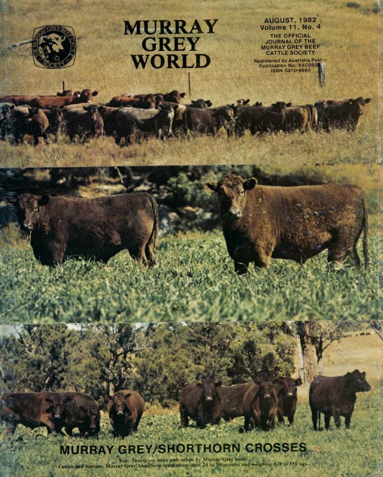 Murray Grey World - Vol 11 No.4 Aug 1982