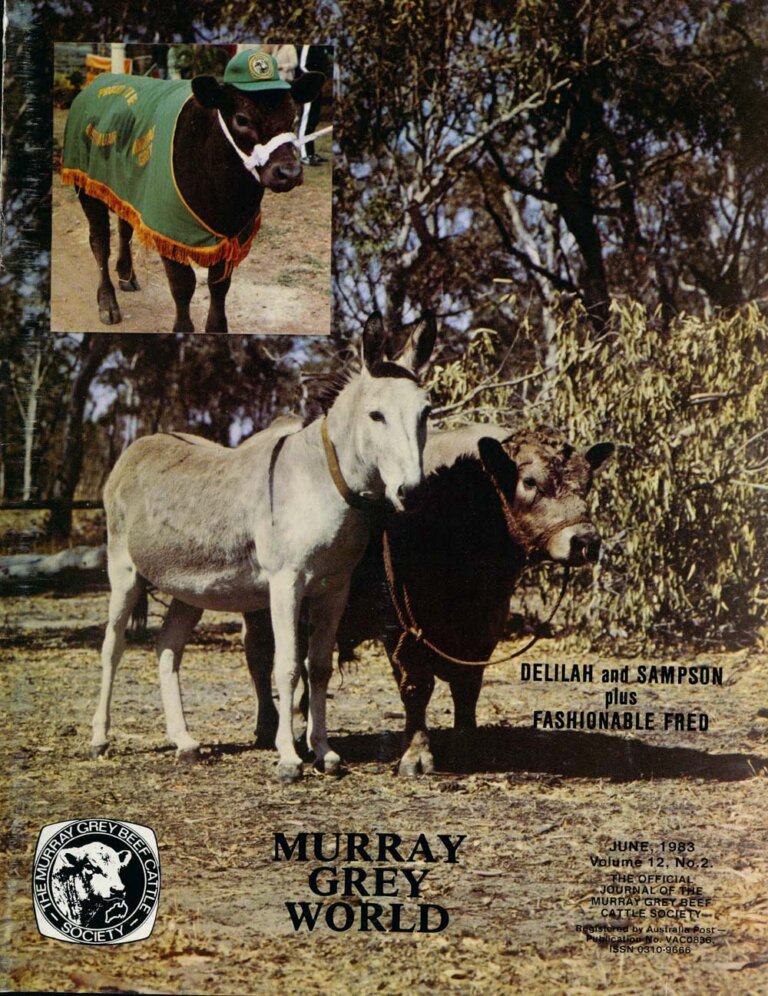 Murray Grey World - Vol 12 No.2 Jun 1983
