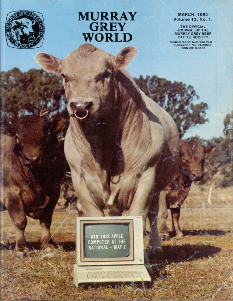 Murray Grey World - Vol 13 No.1 Mar 1984
