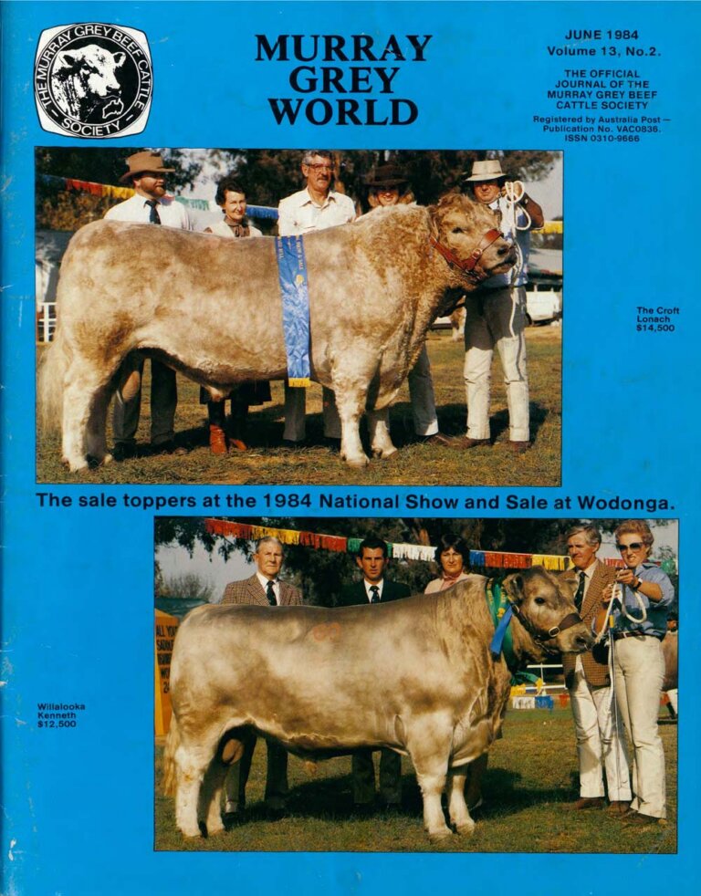 Murray Grey World - Vol 13 No.2 Jun 1984