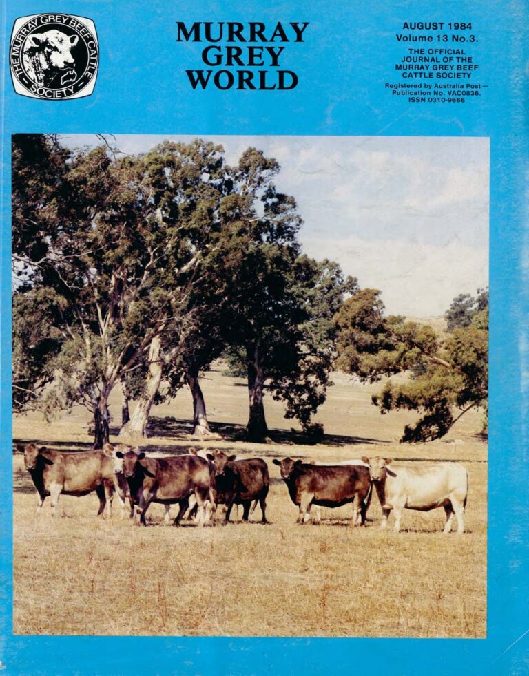 Murray Grey World - Vol 13 No.3 Aug 1984