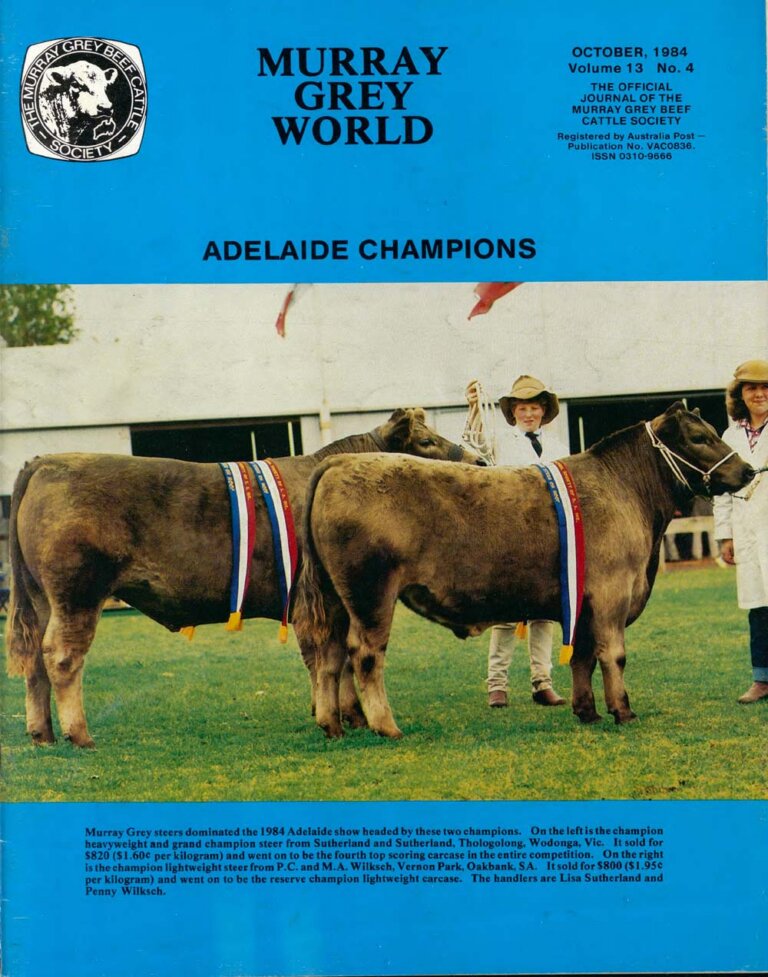 Murray Grey World - Vol 13 No.4 Oct 1984