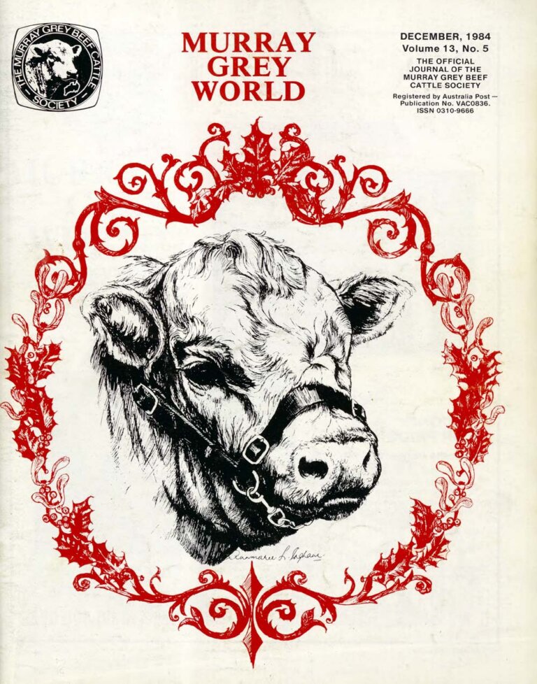 Murray Grey World - Vol 13 No.5 Dec 1984