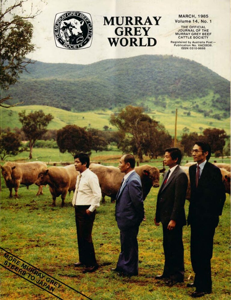Murray Grey World - Vol 14 No.1 Mar 1985