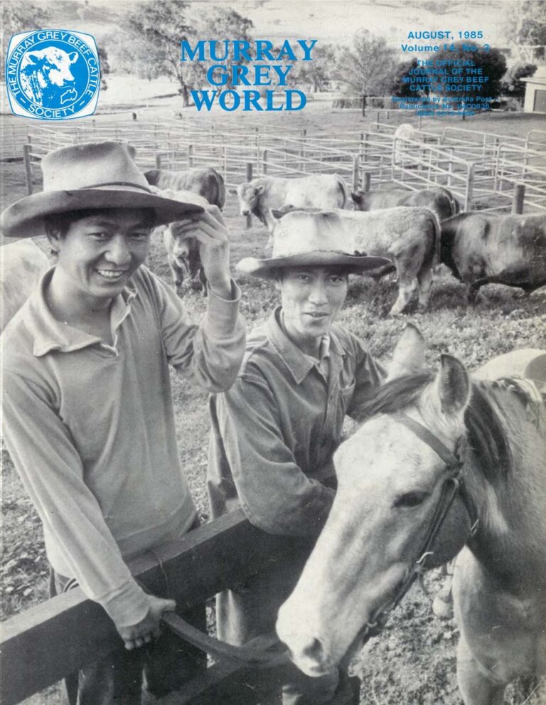 Murray Grey World - Vol 14 No.3 Aug 1985