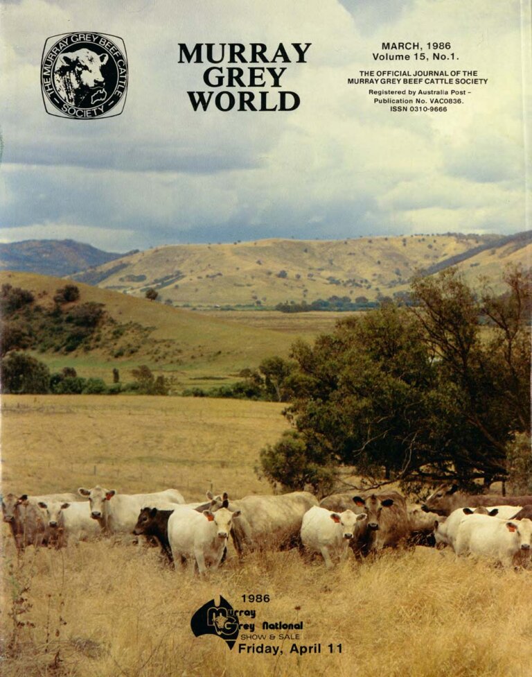Murray Grey World - Vol 15 No.1 Mar 1986