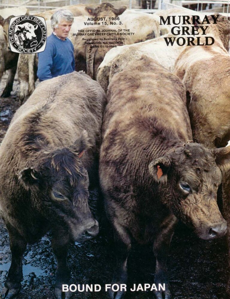 Murray Grey World - Vol 15 No.3 Aug 1986