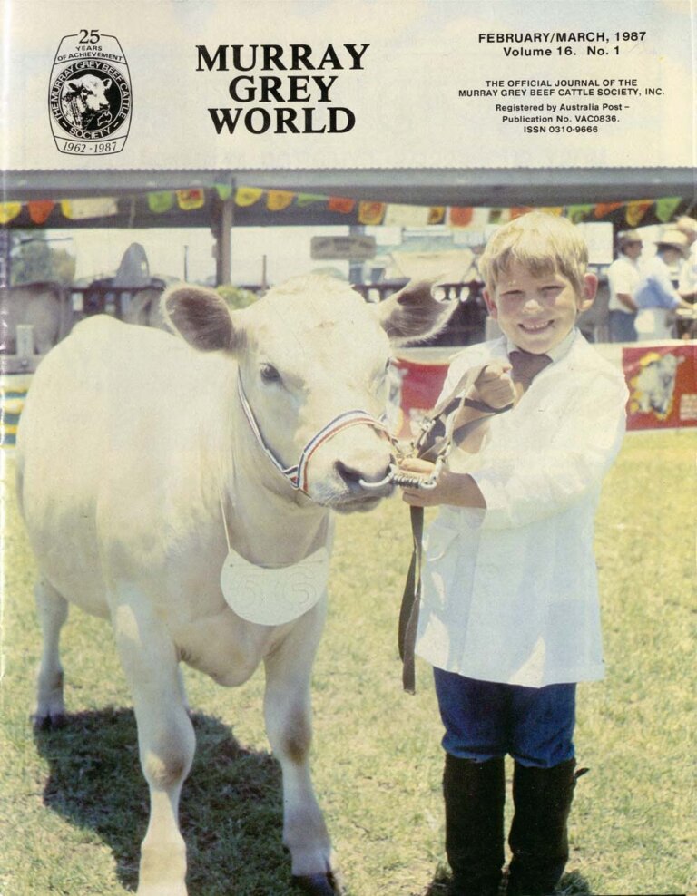 Murray Grey World - Vol 16 No.1 Feb 1987