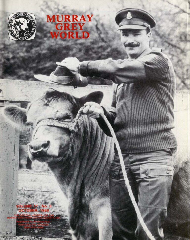 Murray Grey World - Vol 17 No.3 Oct 1988