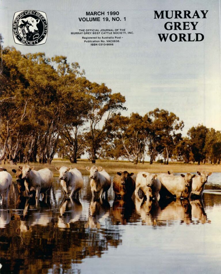 Murray Grey World - Vol 19 No.1 Mar 1990