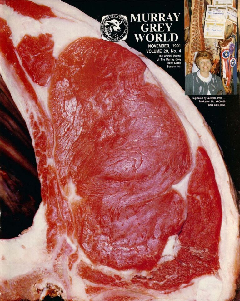 Murray Grey World - Vol 20 No.4 Nov 1991