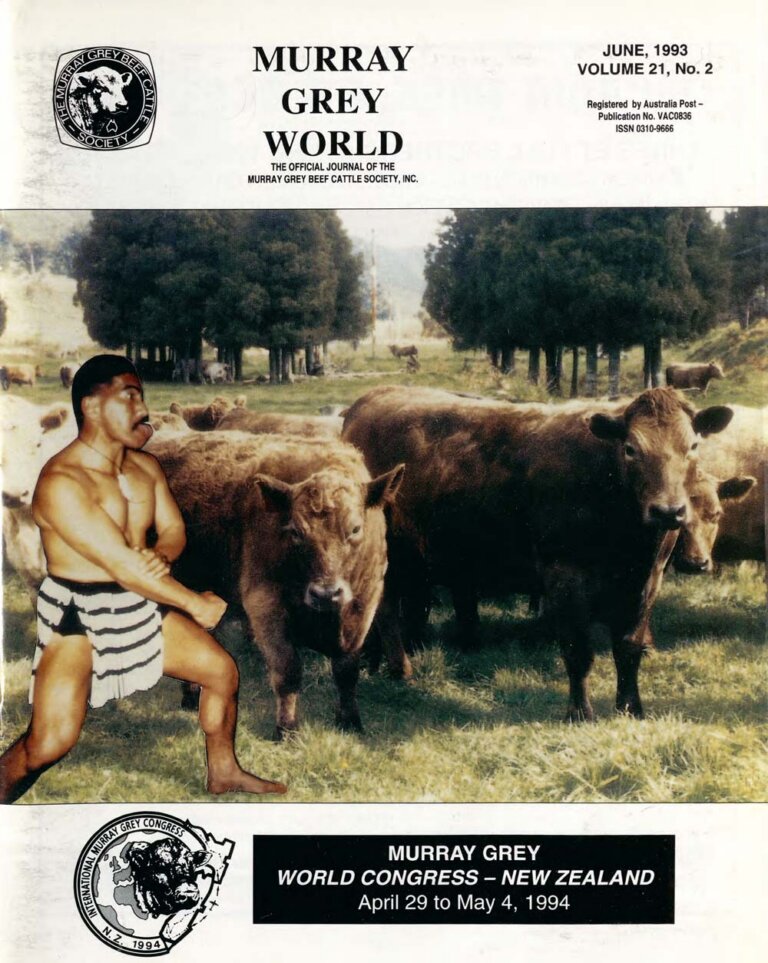 Murray Grey World - Vol 21 No.2 Jun 1993
