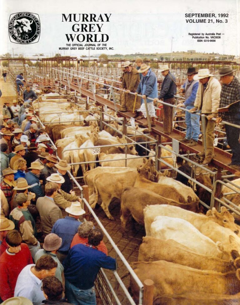 Murray Grey World - Vol 21 No.3 Sep 1992