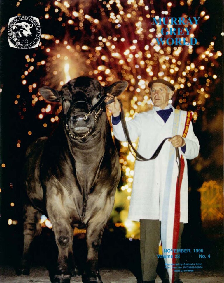 Murray Grey World - Vol 23 No.4 Nov 1995