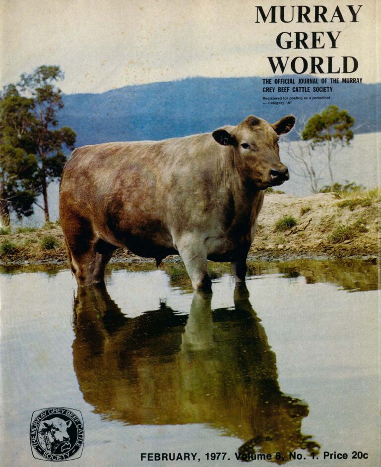 Murray Grey World - Vol 6 No.1 Feb 1977
