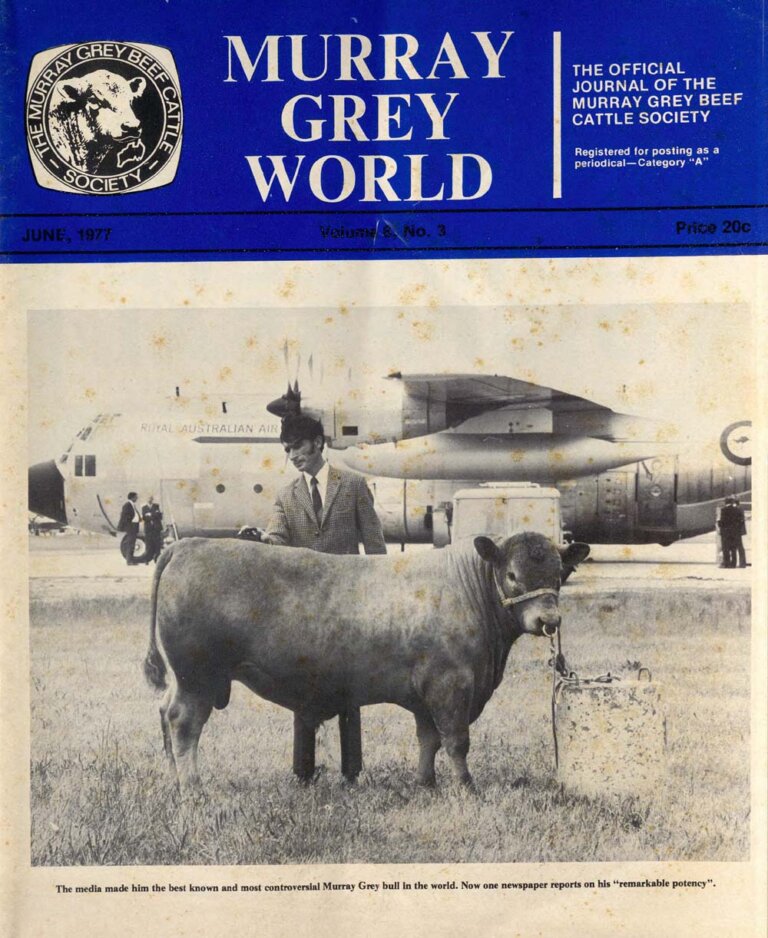 Murray Grey World - Vol 6 No.3 Jun 1977