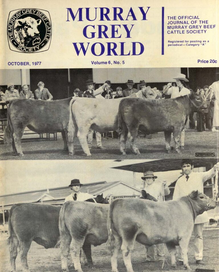 Murray Grey World - Vol 6 No.5 Oct 1977